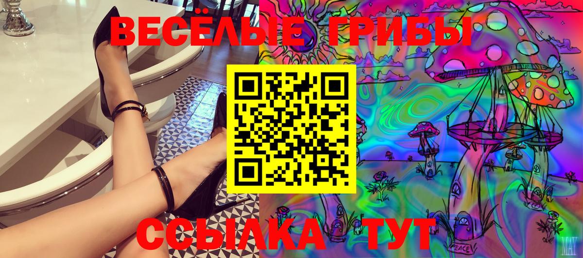 Дальнегорск  Галлюциногенные грибы MAGIC MUSHROOMS  Вход с VPN  Псилоцибиновые грибы GOLDEN TEACHER 