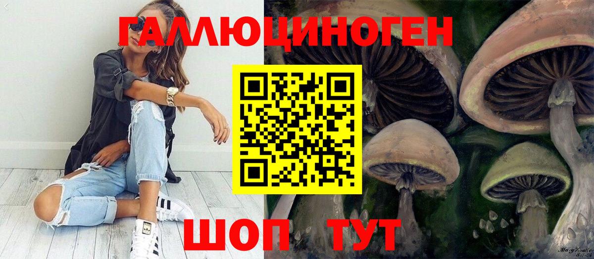 Псилоцибиновые грибы Psilocybine cubensis Дальнегорск